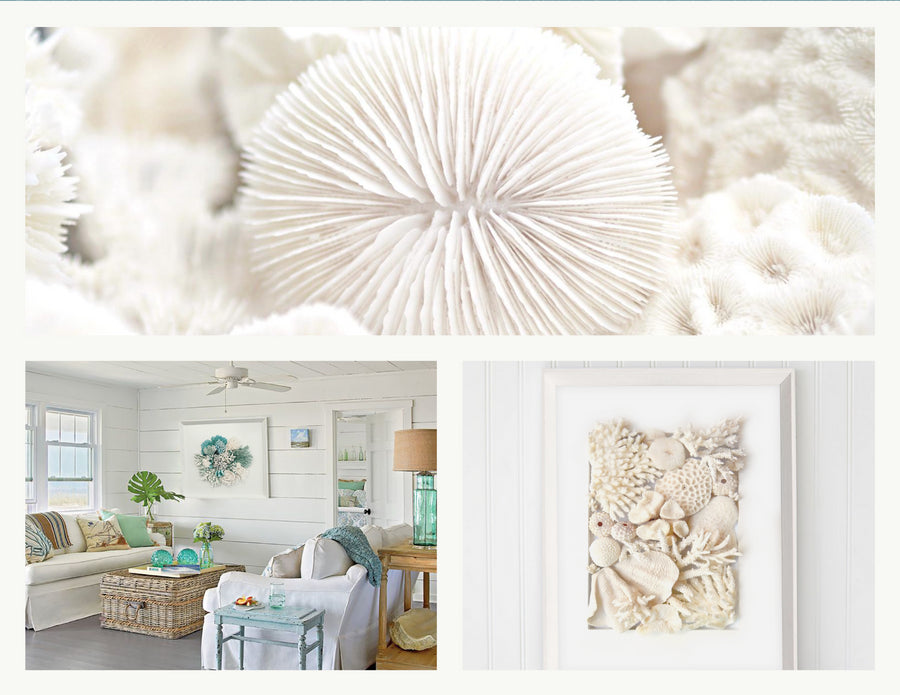 shop exclusive coral art